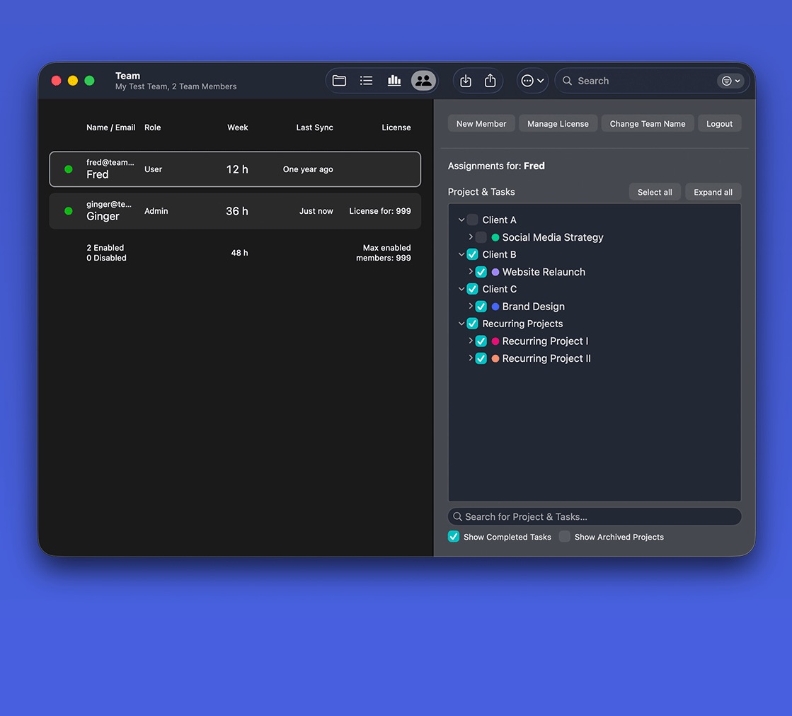 Screen with management functions for your team and your team projects Screen with management functions for your team and your team projects